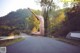 A naked woman jumping in the air on a road.