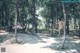 A naked woman standing in the middle of a park next to a bench.